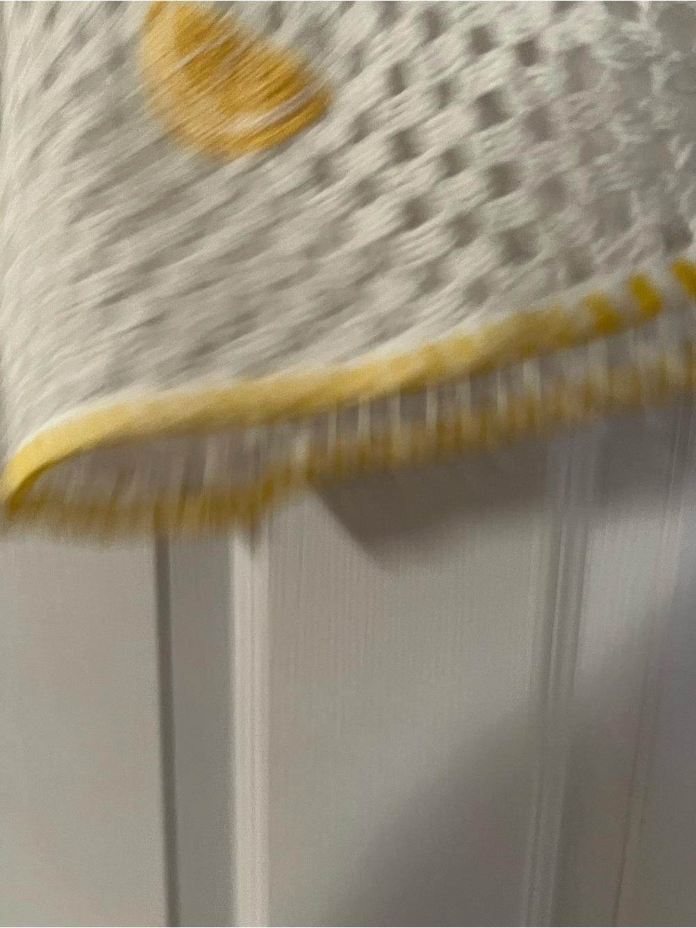SAYLOR Blithe Crochet Shorts. - Picture 10 of 12